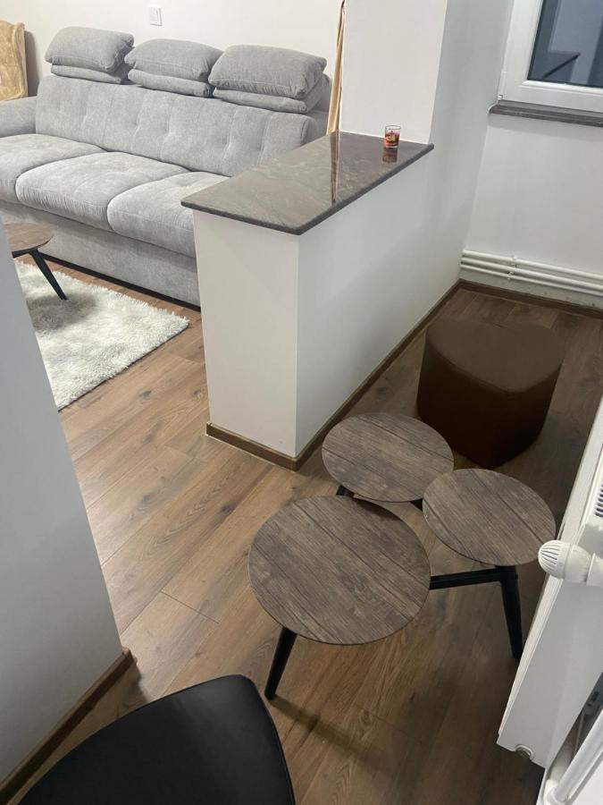 Apartament Eve Câmpulung Moldovenesc Extérieur photo
